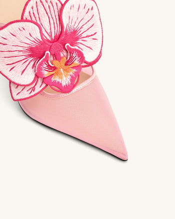 Sofia Ciabattine con tacco a sfera orchidea - Rosa