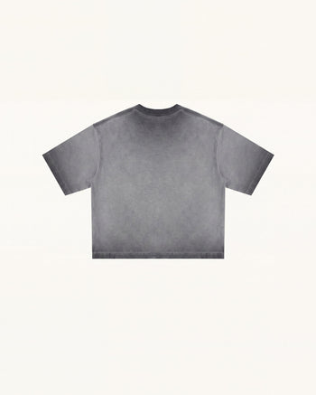 T-shirt The Angelic con ali di cristallo colanti - Grigio slavato